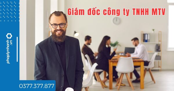 Giám đốc công ty TNHH MTV được quy định như thế nào - tư vấn hỗ trợ pháp lý nhanh