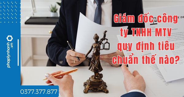 Giám đốc công ty TNHH MTV quy định tiêu chuẩn thế nào? 1 Giám đốc công ty TNHH MTV quy định tiêu chuẩn thế nào - tư vấn hỗ trợ pháp lý nhanh