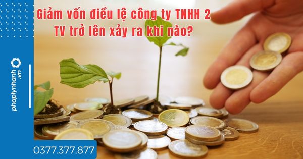 Giảm vốn điều lệ công ty TNHH 2 TV trở lên xảy ra khi nào? 1 Giảm vốn điều lệ công ty TNHH 2 TV trở lên xảy ra khi nào - tư vấn hỗ trợ pháp lý nhanh
