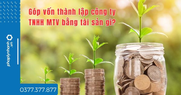 Góp vốn thành lập công ty TNHH MTV bằng tài sản gì? 1 Góp vốn thành lập công ty TNHH MTV bằng tài sản gì - tư vấn hỗ trợ pháp lý nhanh