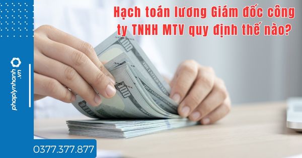 Hạch toán lương Giám đốc công ty TNHH MTV quy định thế nào? 1 Hạch toán lương Giám đốc công ty TNHH MTV quy định thế nào - tư vấn hỗ trợ pháp lý nhanh