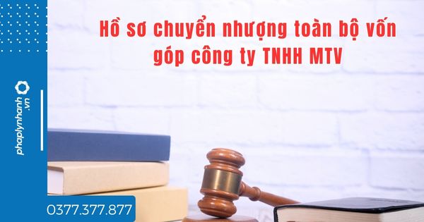 Hồ sơ chuyển nhượng toàn bộ vốn góp công ty TNHH MTV như thế nào? 1 Hồ sơ chuyển nhượng toàn bộ vốn góp công ty TNHH MTV như thế nào - tư vấn hỗ trợ pháp lý nhanh