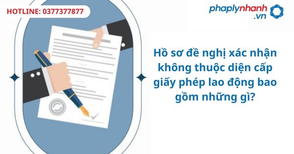 Hồ sơ đề nghị xác nhận không thuộc diện cấp giấy phép lao động bao gồm những gì?