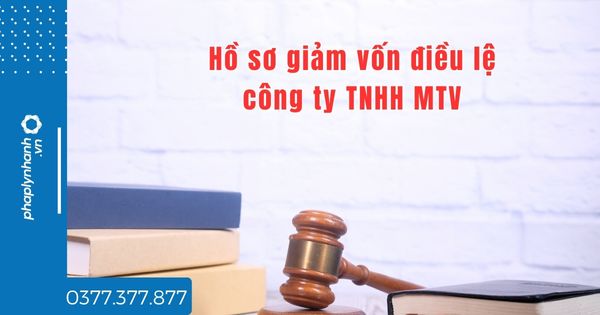 Hồ sơ giảm vốn điều lệ công ty TNHH MTV bao gồm những gì? 1 Hồ sơ giảm vốn điều lệ công ty TNHH MTV bao gồm những gì?