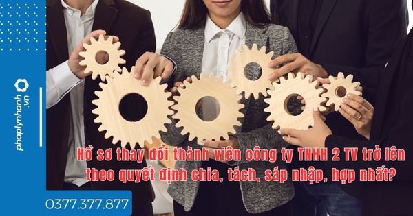 Hồ sơ thay đổi thành viên công ty TNHH 2 TV trở lên theo quyết định chia, tách, sáp nhập, hợp nhất? 1 Hồ sơ thay đổi thành viên công ty TNHH 2 TV trở lên theo quyết định chia, tách, sáp nhập, hợp nhất - tư vấn hỗ trợ pháp lý nhanh