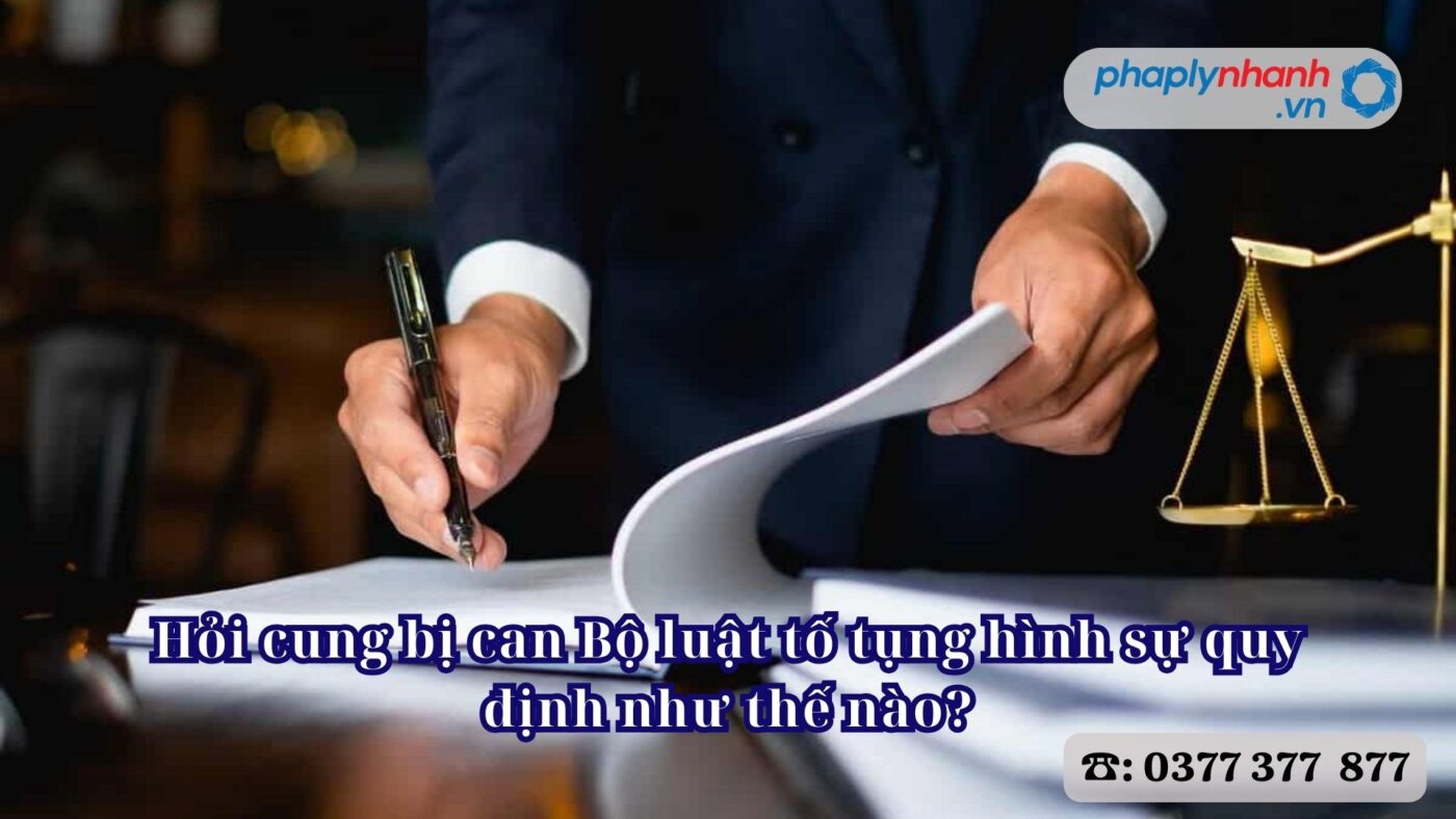 Hỏi cung bị can Bộ luật tố tụng hình sự quy định như thế nào? 13 Hỏi cung bị can Bộ luật tố tụng hình sự quy định như thế nào - Tư vấn, hỗ trợ pháp lý nhanh