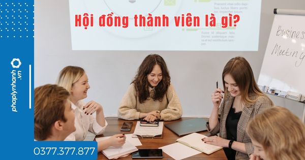 Hội đồng thành viên là gì? 1 Hội đồng thành viên là gì - tư vấn hỗ trợ pháp lý nhanh