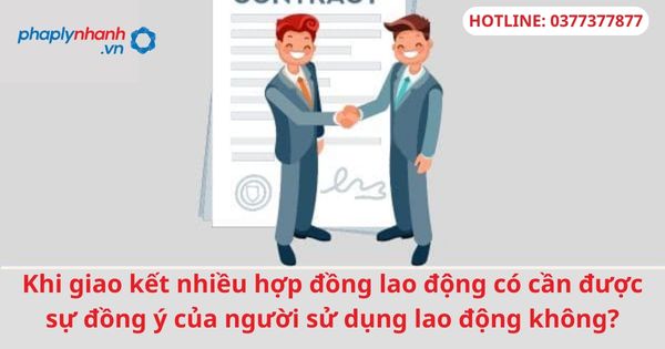 Khi giao kết nhiều hợp đồng lao động có cần được sự đồng ý của người sử dụng lao động không? 7 Khi giao kết nhiều hợp đồng lao động có cần được sự đồng ý của người sử dụng lao động không-hỗ trợ tư vấn pháp lý