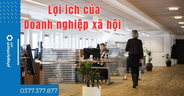 Doanh nghiệp xã hội có những lợi ích gì? 1 Lợi ích của doanh nghiệp xã hội - tư vấn hỗ trợ pháp lý nhanh