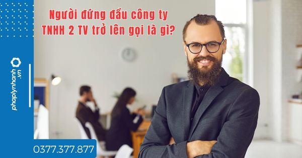 Người đứng đầu công ty TNHH 2 TV trở lên gọi là gì? 1 Người đứng đầu công ty TNHH 2 TV trở lên gọi là gì - tư vấn hỗ trợ pháp lý nhanh