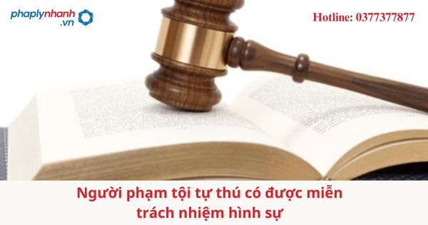Người phạm tội tự thú có được miễn trách nhiệm hình sự 1 Người phạm tội tự thú có được miễn trách nhiệm hình sự