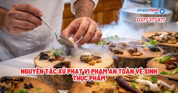 Nguyên tắc xử phạt vi phạm an toàn vệ sinh thực phẩm? 1 Nguyên tắc xử phạt vi phạm an toàn vệ sinh thực phẩm - Tư vấn, hỗ trợ pháp lý nhanh