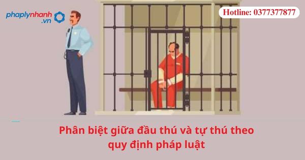 Phân biệt giữa đầu thú và tự thú theo quy định pháp luật 1 Phân biệt giữa đầu thú và tự thú theo quy định pháp luật