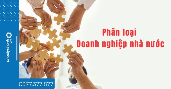 Phân loại Doanh nghiệp nhà nước như thế nào? 1 Phân loại Doanh nghiệp nhà nước như thế nào - tư vấn hỗ trợ pháp lý nhanh