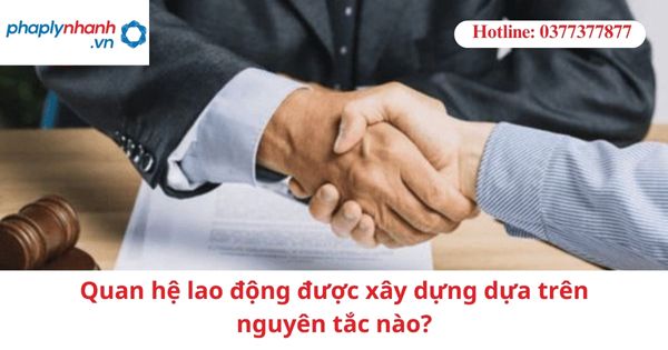Quan hệ lao động được xây dựng dựa trên nguyên tắc nào? 1 Quan hệ lao động được xây dựng dựa trên nguyên tắc nào?