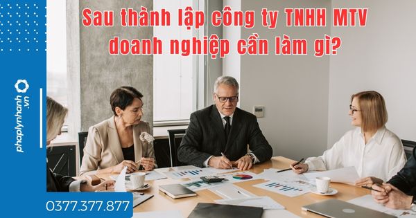 Sau thành lập công ty TNHH MTV doanh nghiệp cần làm gì - tư vấn hỗ trợ pháp lý nhanh