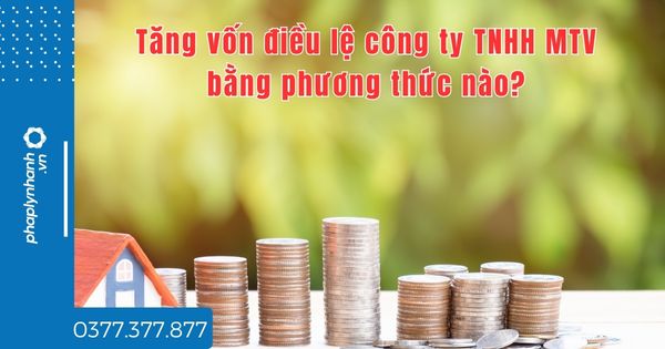 Tăng vốn điều lệ công ty TNHH MTV bằng phương thức nào? 1 Tăng vốn điều lệ công ty TNHH MTV bằng phương thức nào - tư vấn hỗ trợ pháp lý nhanh