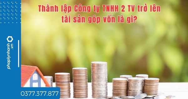 Thành lập Công ty TNHH 2 TV trở lên tài sản góp vốn là gì? 1 Thành lập Công ty TNHH 2 TV trở lên tài sản góp vốn là gì - tư vấn hỗ trợ pháp lý nhanh