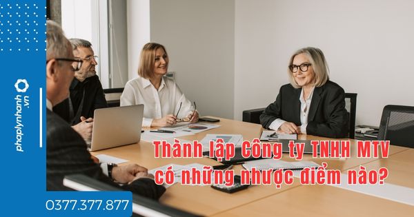 Thành lập Công ty TNHH MTV có những nhược điểm nào - tư vấn hỗ trợ pháp lý nhanh