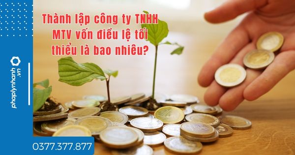 Thành lập công ty TNHH MTV vốn điều lệ tối thiểu là bao nhiêu? 1 Thành lập công ty TNHH MTV vốn điều lệ tối thiểu là bao nhiêu - tư vấn hỗ trợ pháp lý nhanh