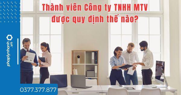 Thành viên Công ty TNHH MTV được quy định thế nào? 1 Thành viên Công ty TNHH MTV được quy định thế nào - tư vấn hỗ trợ pháp lý nhanh