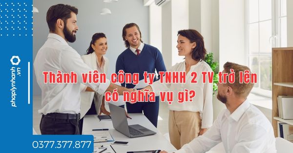 Thành viên công ty TNHH 2 TV trở lên có nghĩa vụ gì? 1 Thành viên công ty TNHH 2 TV trở lên có nghĩa vụ gì - tư vấn hỗ trợ pháp lý nhanh