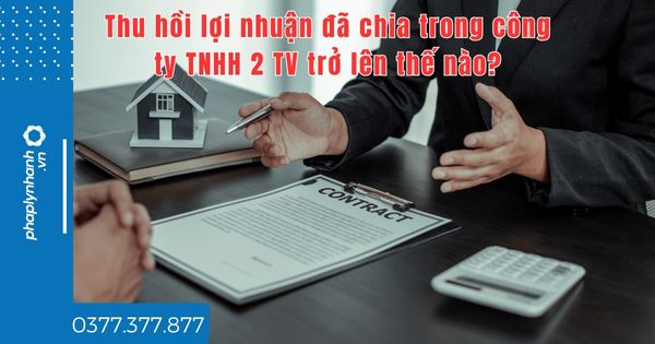 Thu hồi lợi nhuận đã chia trong công ty TNHH 2 TV trở lên thế nào? 1 Thu hồi lợi nhuận đã chia trong công ty TNHH 2 TV trở lên thế nào - tư vấn hỗ trợ pháp lý nhanh