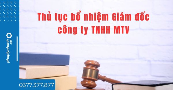 Thủ tục bổ nhiệm Giám đốc công ty TNHH MTV gồm những gì? 1 Thủ tục bổ nhiệm Giám đốc công ty TNHH MTV gồm những gì - tư vấn hỗ trợ pháp lý nhanh