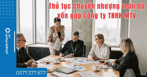 Thủ tục chuyển nhượng toàn bộ vốn góp công ty TNHH MTV như thế nào - tư vấn hỗ trợ pháp lý nhanh
