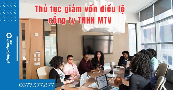 Thủ tục giảm vốn điều lệ công ty TNHH MTV bao gồm những gì - tư vấn hỗ trợ pháp lý nhanh