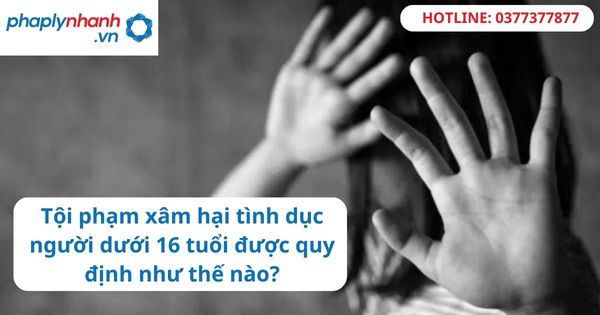 Tội phạm xâm hại tình dục người dưới 16 tuổi được quy định như thế nào? 1 Tội phạm xâm hại tình dục người dưới 16 tuổi được quy định như thế nào-hỗ trợ tư vấn pháp lý