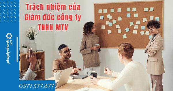 Trách nhiệm của Giám đốc công ty TNHH MTV là gì? 1 Trách nhiệm của Giám đốc công ty TNHH MTV là gì - tư vấn hỗ trợ pháp lý nhanh