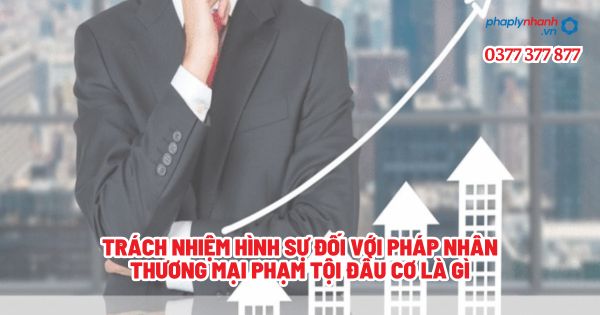 Trách nhiệm hình sự đối với pháp nhân thương mại phạm tội đầu cơ là gì - Tư vấn, hỗ trợ pháp lý nhanh