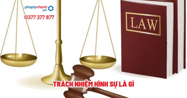 Trách nhiệm hình sự là gì? 1 Trách nhiệm hình sự là gì - Tư vấn, hỗ trợ pháp lý nhanh