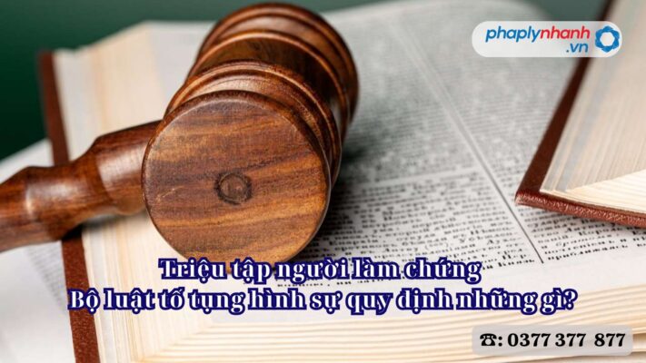 Triệu tập người làm chứng Bộ luật tố tụng hình sự quy định những gì? 2 Triệu tập người làm chứng Bộ luật tố tụng hình sự quy định những gì - Tư vấn, hỗ trợ pháp lý nhanh