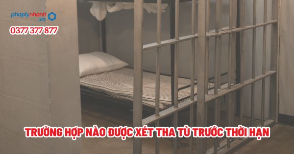 Trường hợp nào được xét tha tù trước thời hạn - Tư vấn, hỗ trợ pháp lý nhanh