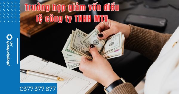 Trường hợp nào giảm vốn điều lệ công ty TNHH MTV? 1 Trường hợp nào giảm vốn điều lệ công ty TNHH MTV - tư vấn hỗ trợ pháp lý nhanh