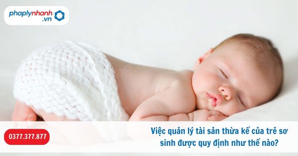 Việc quản lý tài sản thừa kế của trẻ sơ sinh được quy định như thế nào? 1 Việc quản lý tài sản thừa kế của trẻ sơ sinh được quy định như thế nào-Hỗ trợ, tư vấn pháp lý nhanh