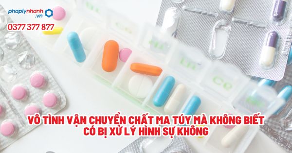 Vô tình vận chuyển chất ma túy mà không biết có bị xử lý hình sự không - Tư vấn, hỗ trợ pháp lý nhanh