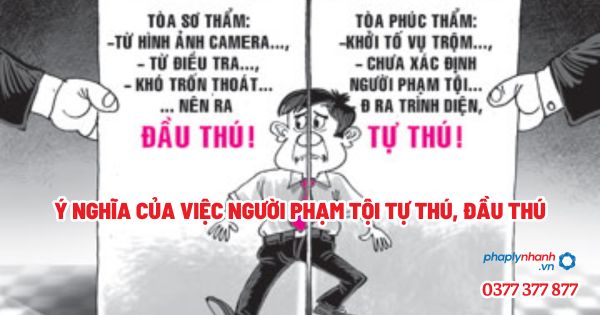 Ý nghĩa của việc người phạm tội tự thú, đầu thú? 1 Ý nghĩa của việc người phạm tội tự thú, đầu thú - Tư vấn, hỗ trợ pháp lý nhanh
