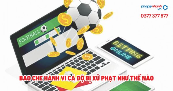 Bao che hành vi cá độ bị xử phạt như thế nào? 1 Bao che hành vi cá độ bị xử phạt như thế nào - Tư vấn, hỗ trợ pháp lý nhanh