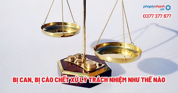 Bị can, bị cáo chết xử lý trách nhiệm như thế nào? 1 Bị can, bị cáo chết xử lý trách nhiệm như thế nào - Tư vấn, hỗ trợ pháp lý nhanh