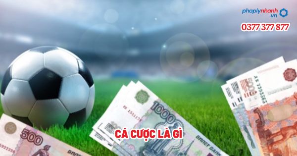 Cá cược là gì? 1 Cá cược là gì - Tư vấn, hỗ trợ pháp lý nhanh