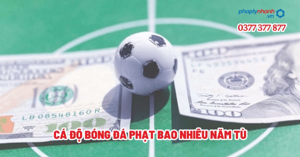 Cá độ bóng đá phạt bao nhiêu năm tù? 1 Cá độ bóng đá phạt bao nhiêu năm tù - Tư vấn, hỗ trợ pháp lý nhanh