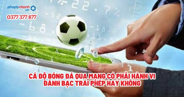 Cá độ bóng đá qua mạng có phải hành vi đánh bạc trái phép hay không - Tư vấn, hỗ trợ pháp lý nhanh