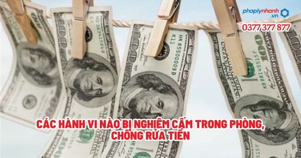 Các hành vi nào bị nghiêm cấm trong phòng, chống rửa tiền? 1 Các hành vi nào bị nghiêm cấm trong phòng, chống rửa tiền - Tư vấn, hỗ trợ pháp lý nhanh