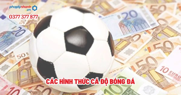Các hình thức cá độ bóng đá? 1 Các hình thức cá độ bóng đá - Tư vấn, hỗ trợ pháp lý nhanh