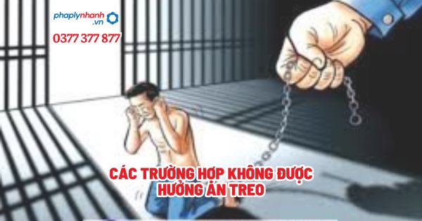 Các trường hợp không được hưởng án treo - Tư vấn, hỗ trợ pháp lý nhanh