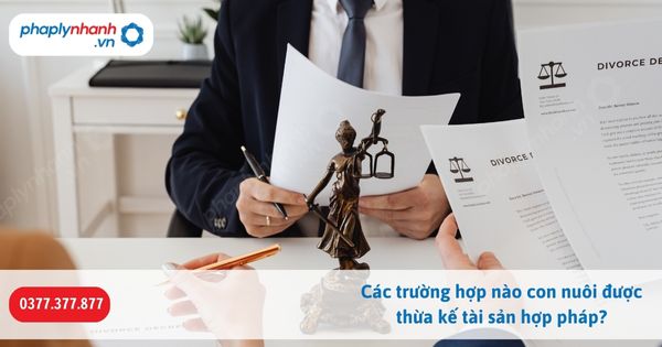 Các trường hợp nào con nuôi được thừa kế tài sản hợp pháp-Hỗ trợ, tư vấn pháp lý nhanh