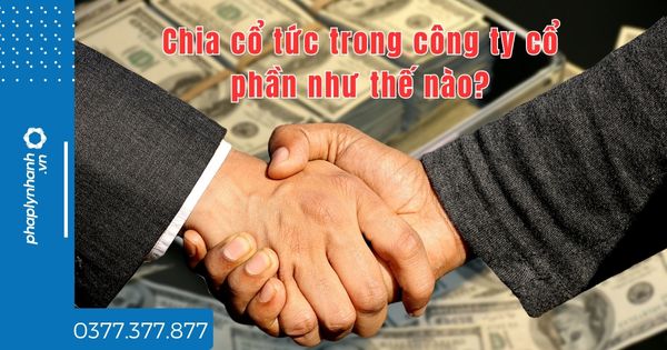 Chia cổ tức trong công ty cổ phần như thế nào? 1 Chia cổ tức trong công ty cổ phần như thế nào - tư vấn hỗ trợ pháp lý nhanh